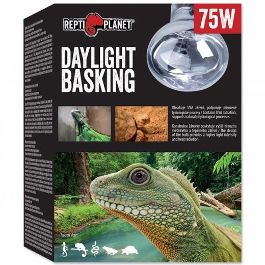 Крушка DayLight 75W Repti Planet