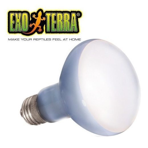 Exo Terra Daylight Basking Spot 100W
